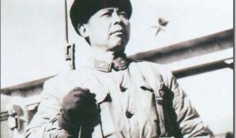 娱乐吃瓜酱陶勇,娱乐吃瓜酱背后的故事与传奇