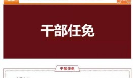 乐山市新闻爆料电话查询,倾听民声，守护城市和谐